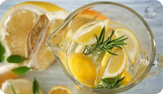 cytrynowa lemoniada w dzbanku z dodatkiem rozmarynu i mięty